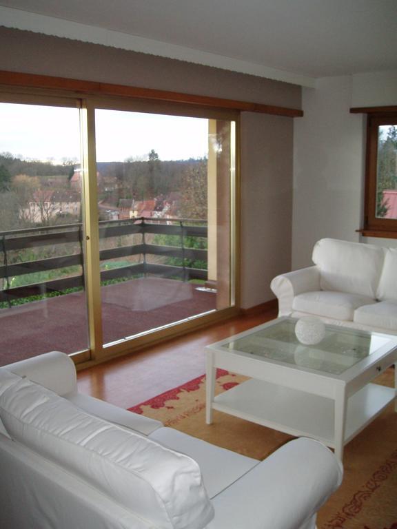 Villa Du Lion D'Or 小皮埃尔 客房 照片